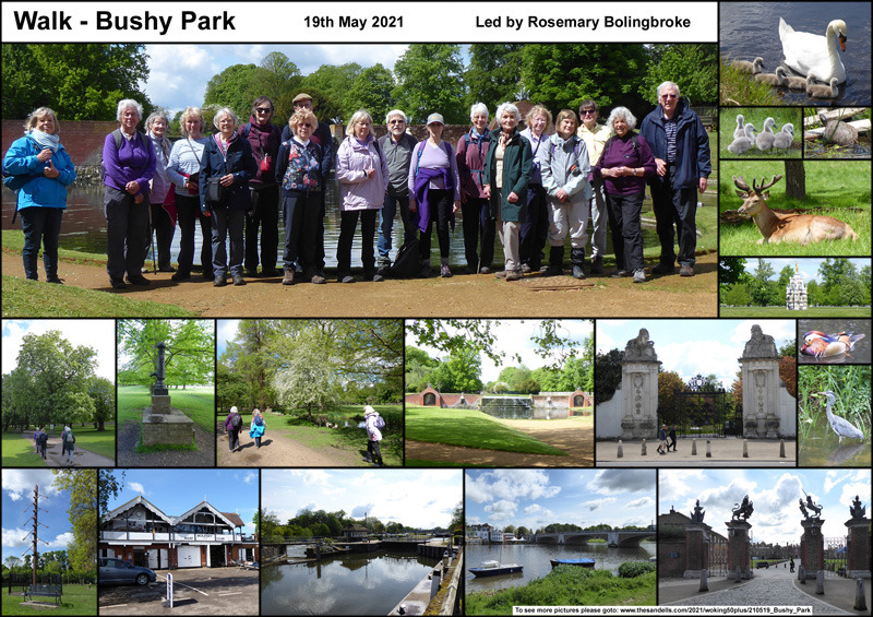 Walk - Bushy Park - 19th May 2021